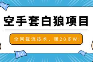 2020最新空手套白狼项目，全网批量截流技术，一个月实战成功赚20多W+