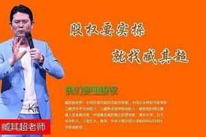 臧其超股权激励与机制设计