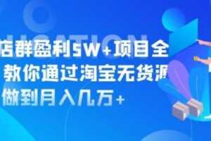 盗坤淘宝店群盈利5W+项目全流程，教你通过淘宝无货源做到月入几万+