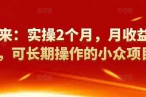 祖小来：实操2个月，月收益2万+，可长期操作的小众项目