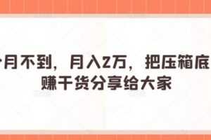 一个月不到，月入2万，把压箱底的躺赚干货分享给大家