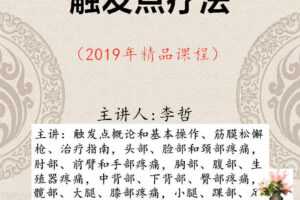 2019李哲触发点疗法视频