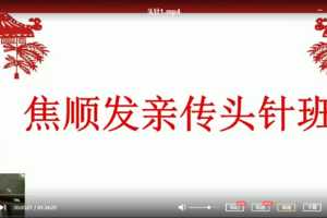 针灸：焦顺发~焦氏头针培训班高清视频14.64G含课件