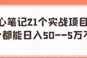 三心笔记21个实战项目，每个都能日入50－－5万不等