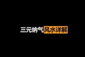 杨国正形家长眼法+三元纳气(3套  5.07G）