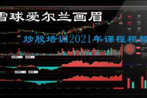 雪球爱尔兰画眉炒股培训2022年课程视频