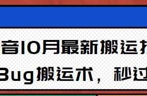 10月抖音最新搬运技术，卡Bug搬运术，秒过抖+【视频课程】