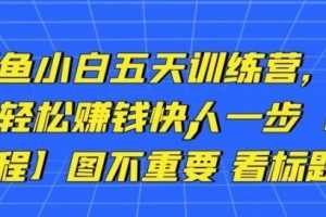 卓让闲鱼小白五天训练营，每天一小时，轻松赚钱快人一步【视频课程】