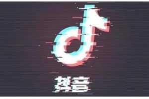 2021陈厂长年度大课+打造个人IP，适合短视频涨粉变现的新媒体人