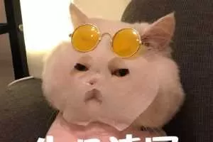 朱丹速写基础课