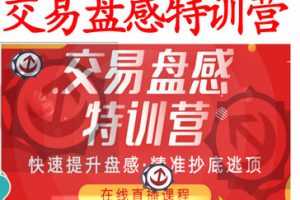 无为战法之《交易盘感特训营》237期