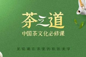 茶之道：中国茶文化必修课