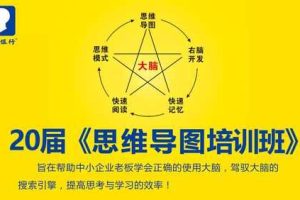 苏引华《2019思维导图》（108集）视频