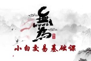 无为课堂小白交易实战班《交易盘口》