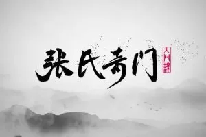 张岩客张氏奇门手上起局一二模块(30集   2.25G)