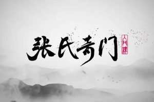张岩客张氏奇门手上起局一二模块(30集   2.25G)