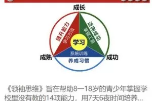 苏引华《2019领袖思维》（36集）视频