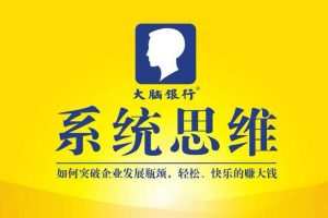 苏引华《2019系统思维》(222集)视频