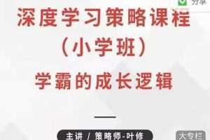 叶修《深度学习策略课程·小学班》学霸的成长逻辑