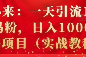 祖小来：一天引流100+宝妈粉，日入1000+的蓝海项目（实战教程）