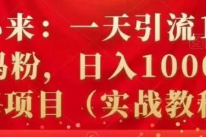 祖小来：一天引流100+宝妈粉，日入1000+的蓝海项目（实战教程）