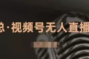 J总·视频号无人直播带货，有微信就可以做，可以批量【视频课程】
