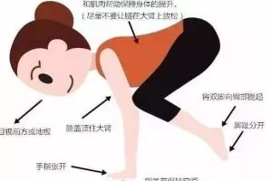 司慕欣60个体式精讲