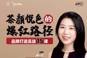 茶颜悦色的爆红路径——品牌打造实战15课