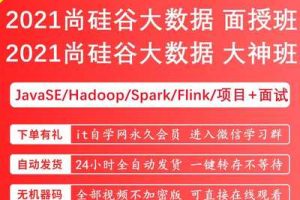 2021年尚硅谷大数据入门到精通课程109G