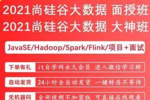 2021年尚硅谷大数据入门到精通课程109G