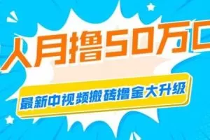 猎人联盟由城哥主讲的中视频搬砖撸金计划技术大升级1期和2期
