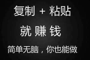 长期正规副业项目，傻瓜式操作，日入300+【付费文章】