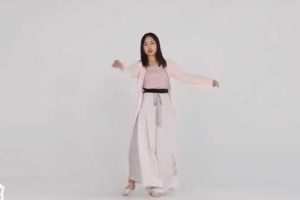 古典舞-成品舞蹈教学（群舞、独舞都有）