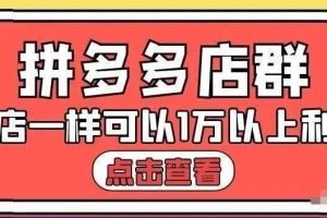 大凯电商·拼多多店群单店一样可以产出1万5以上利润【付费文章】