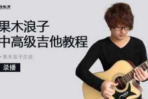 果木浪子中高级吉他教程
