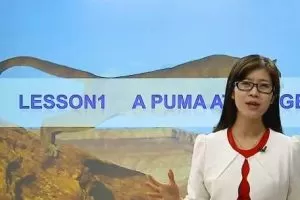 斐然英语 顾斐 新概念英语三册 60讲带讲义