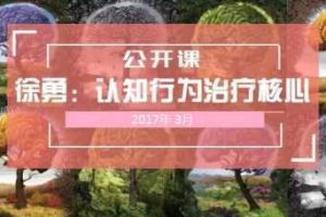 徐勇认知行为治疗(CBT)理论与技能实操网络课程 全套