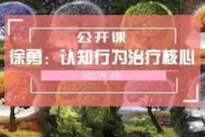 徐勇认知行为治疗(CBT)理论与技能实操网络课程 全套
