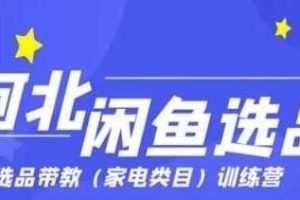 柯北闲鱼选品,手把手教你定向上架产品，帮助你正确选品