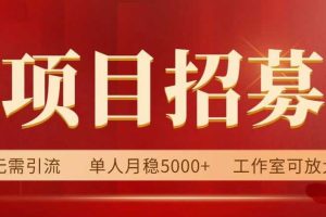 高鹏圈·自媒体蓝海搬运项目：单号收益每月基本都可以达到5000+，可批量