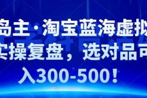 黄岛主淘‬宝蓝海虚拟‬选品实操复盘