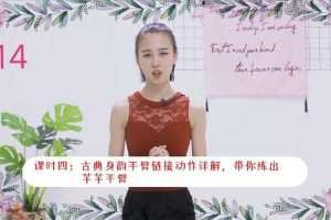 古典舞姿身韵基本功教程