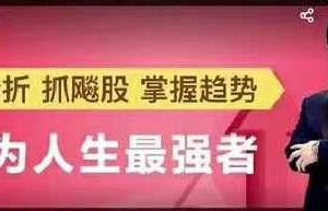 林新象2019年6月成为人生最强者线上课30集+5盘中指导