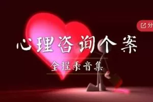 《心理咨询个案全程集》 音频课