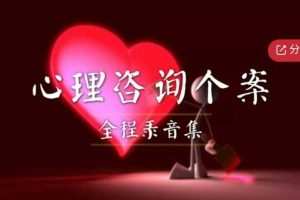 《心理咨询个案全程集》 音频课