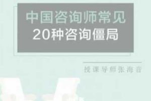 张海音 中国咨询师常见的20种咨询僵局 微课40讲录音+课件