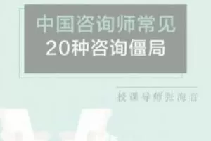 张海音 中国咨询师常见的20种咨询僵局 微课40讲录音+课件