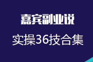 嘉宾副业说实操36计