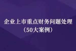 企业上市重点财务问题处理（50大案例）