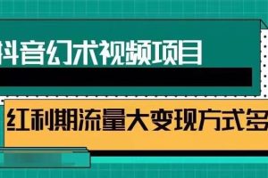 抖音幻术视频项目